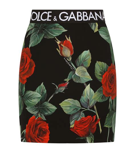 dolce gabbana floral mini skirt|Dolce & Gabbana long sleeve.